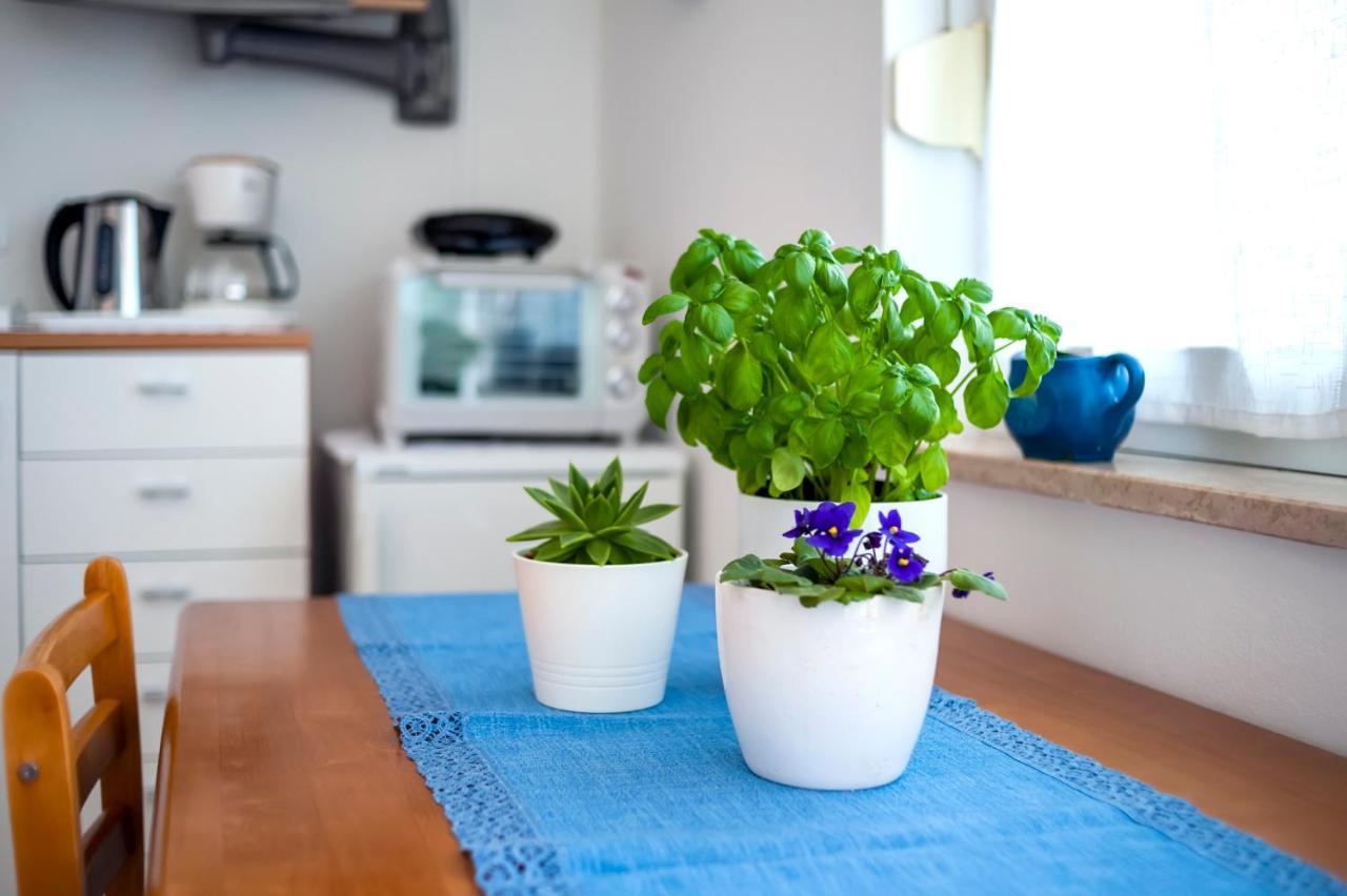 רוביני Banko Apartments מראה חיצוני תמונה